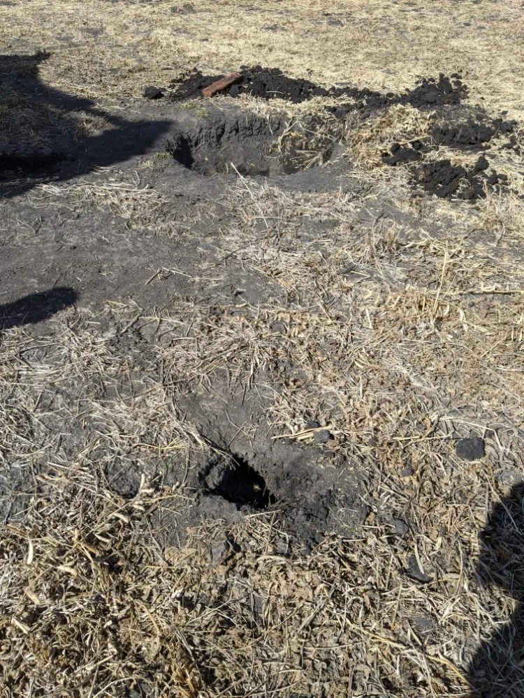 Slide of Minor Enterprise