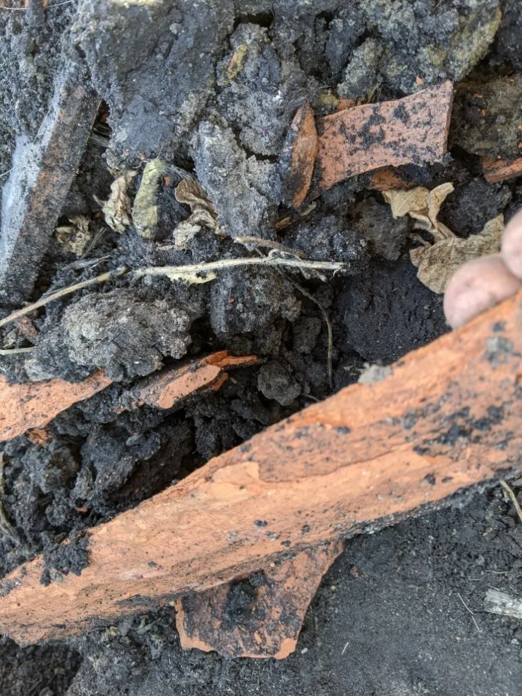 Slide of Minor Enterprise