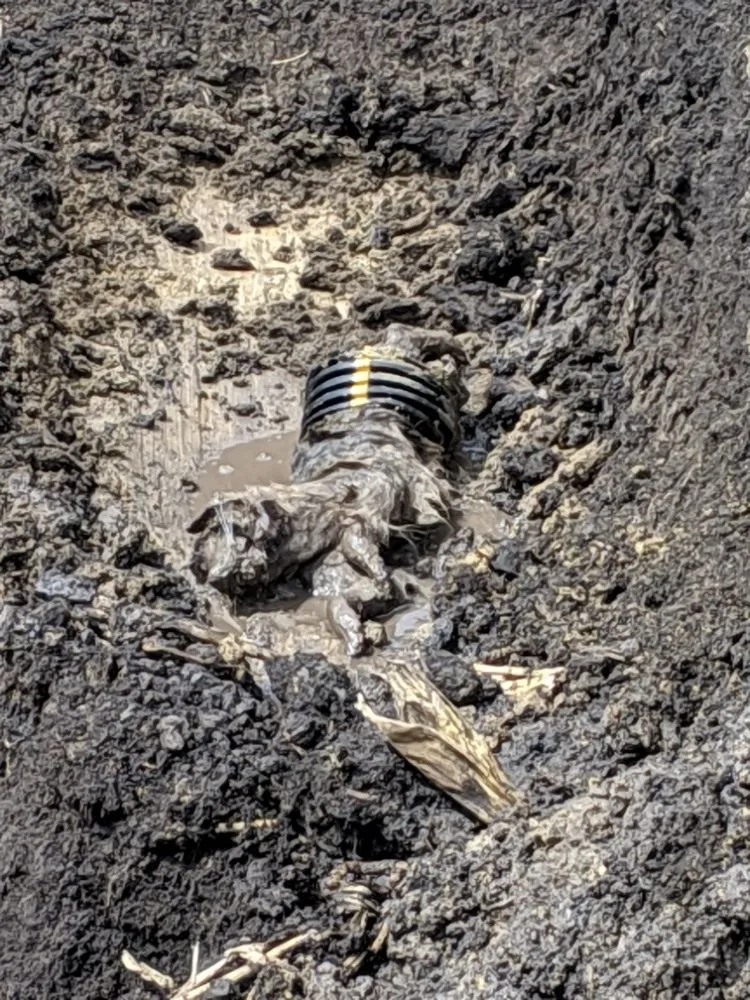 Slide of Minor Enterprise