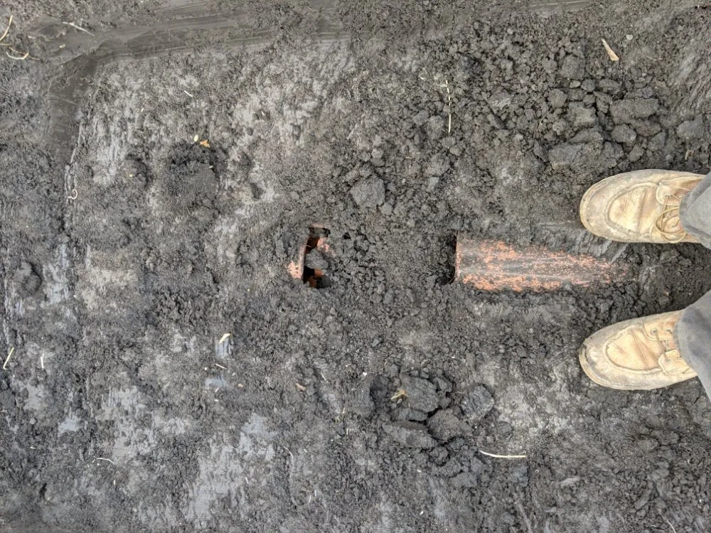 Slide of Minor Enterprise