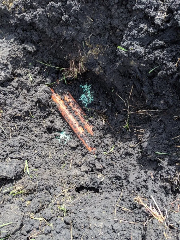 Slide of Minor Enterprise