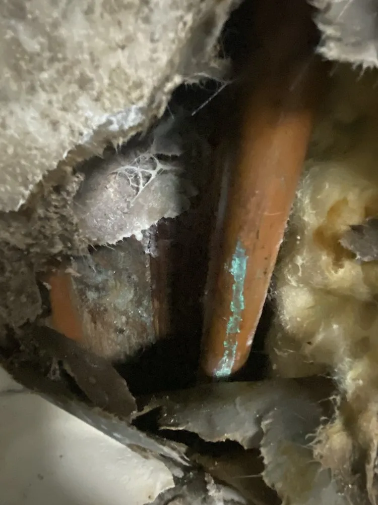 Slide of Mint Plumbing