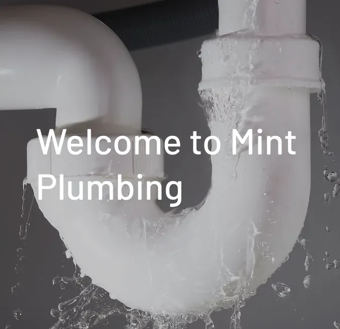 Professional emergency plumbing experts serving FORT LAUDERDALE, FL - Mint Plumbing