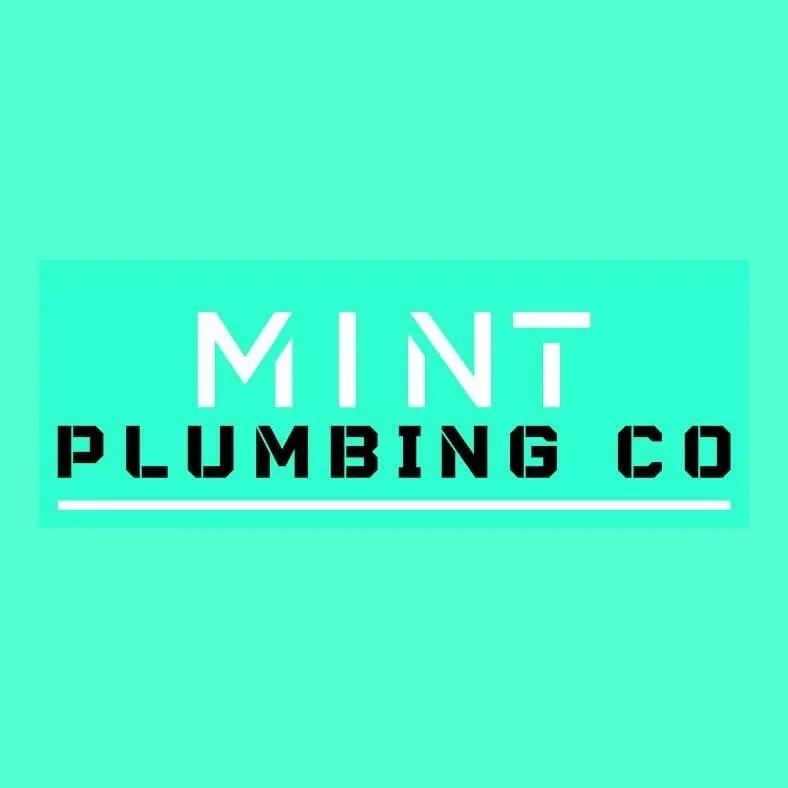 Slide of Mint Plumbing Utah County