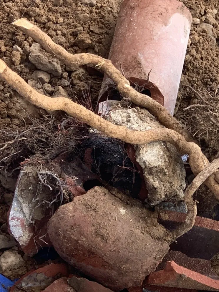 Slide of Miracle Home Remedies