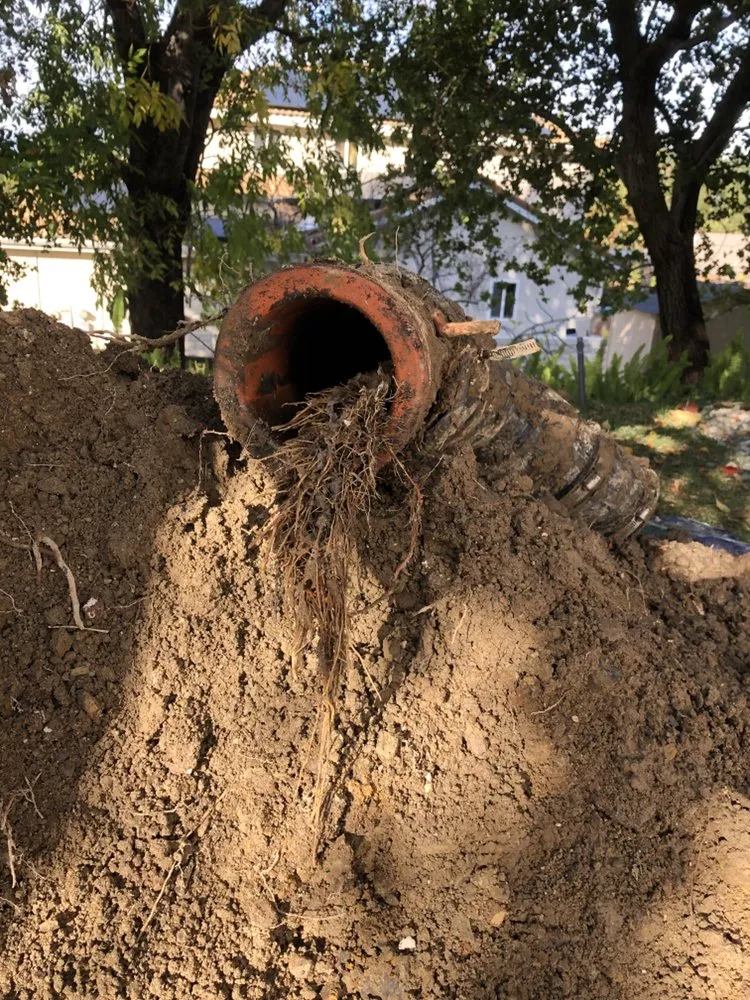 Slide of Miracle Home Remedies