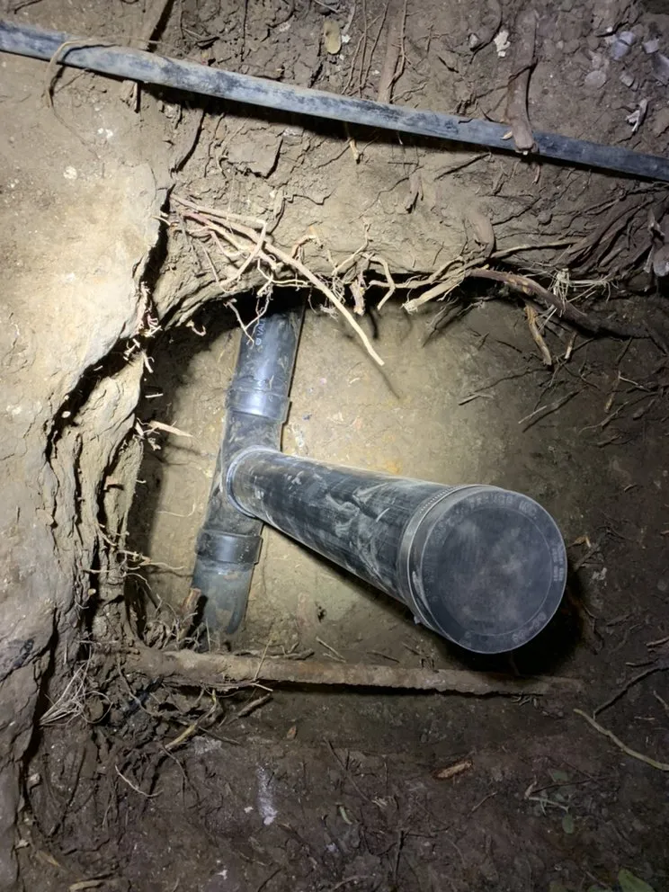 Slide of Miracle Home Remedies