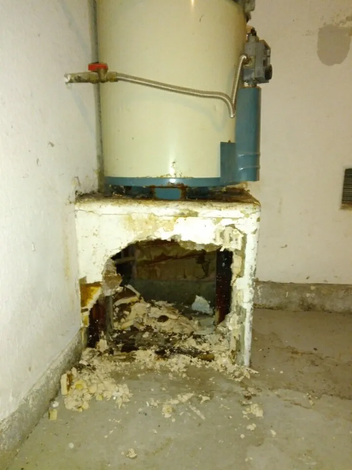 Slide of Miracle Home Remedies