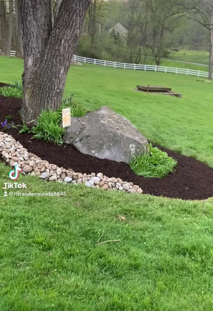 Slide of Miranda Contracting