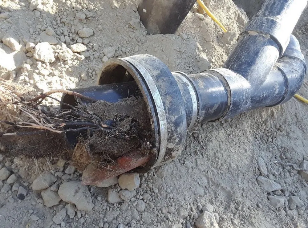 Slide of Miranda’s Attentive Rooter Service