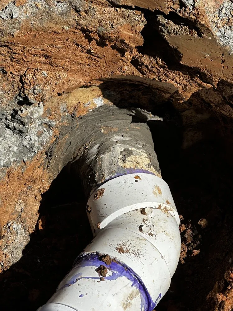 Slide of Miranda's Plumbing