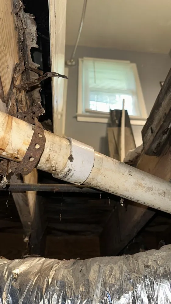 Slide of Miranda's Plumbing