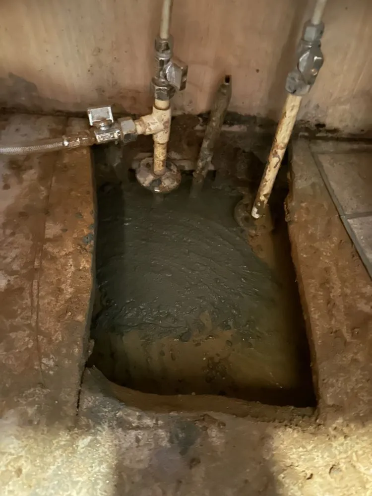 Slide of Miranda's Plumbing