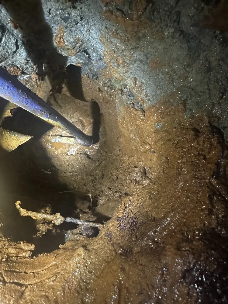 Slide of Miranda's Plumbing