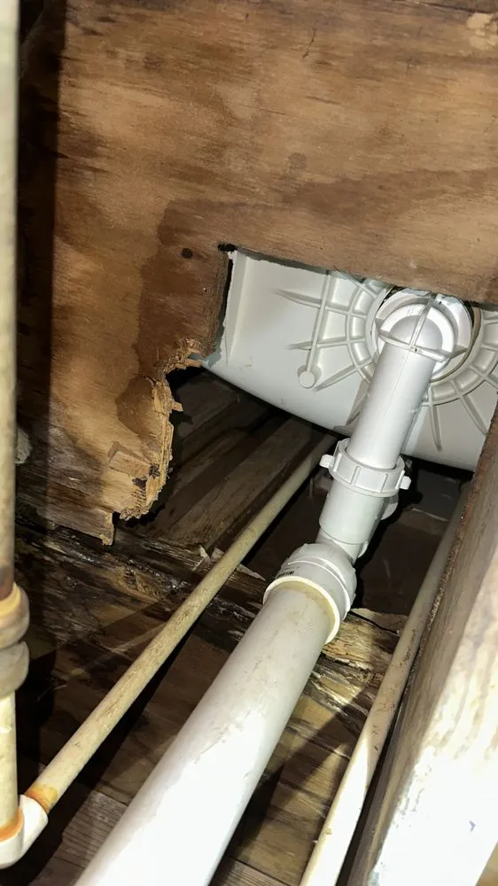 Slide of Miranda's Plumbing