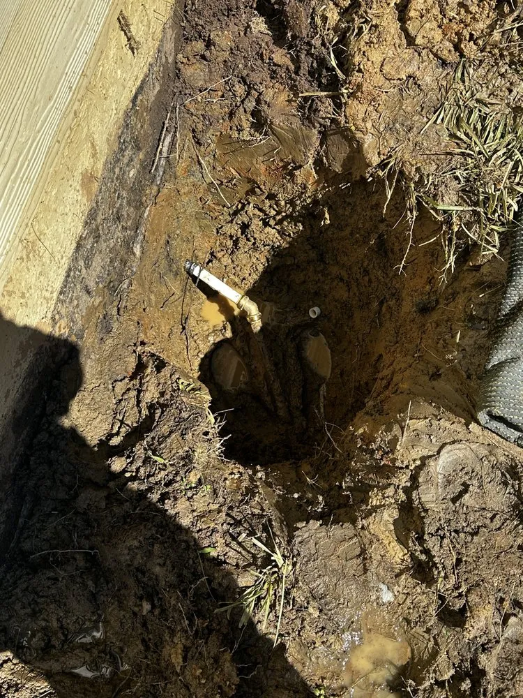 Slide of Miranda's Plumbing