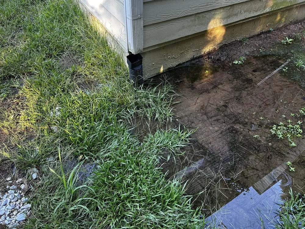 Slide of Miranda's Plumbing