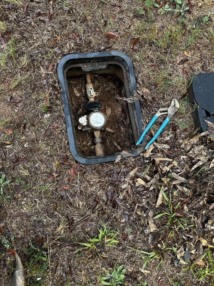 Slide of Miranda's Plumbing