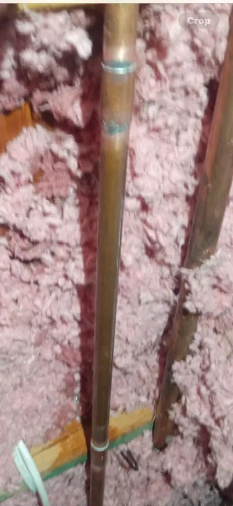 Slide of Miranda's Plumbing