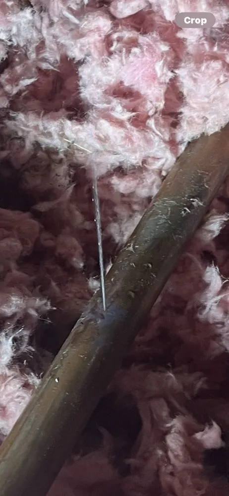 Slide of Miranda's Plumbing