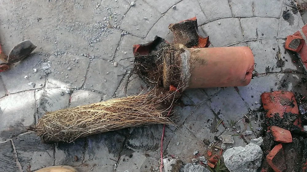 Slide of Miser Plumbing West