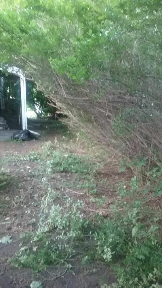 Slide of Mistah Jays Hands For Hire