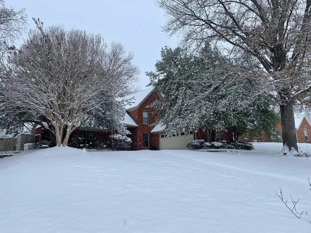 Slide of Mister Greenway