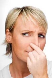 Slide of Mister Service