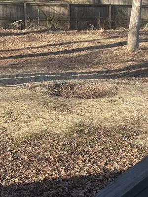 Mitchell Plumbing & Heating