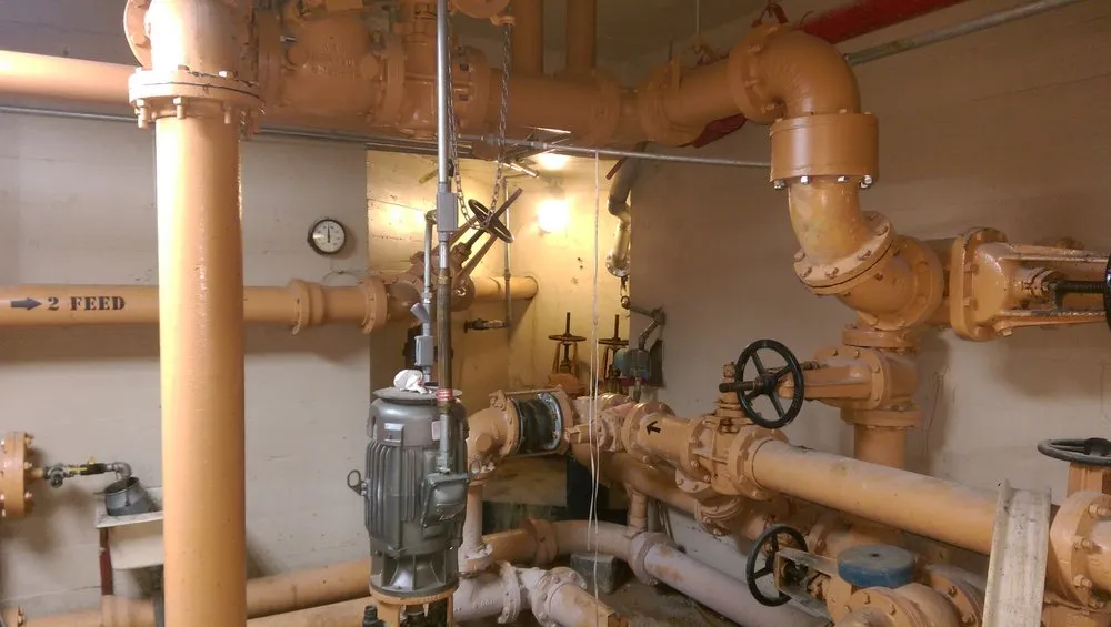 Slide of MJ O'Connor