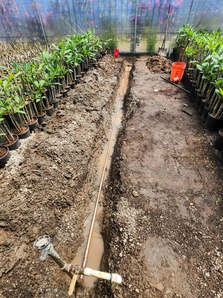 Slide of MLC Plumbing