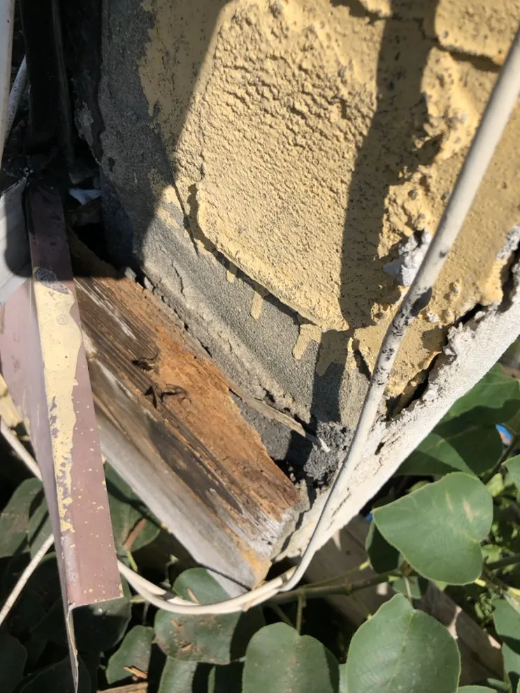 Slide of Mobile Ninja