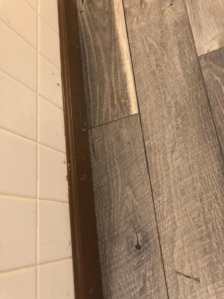 Slide of Mobile Ninja