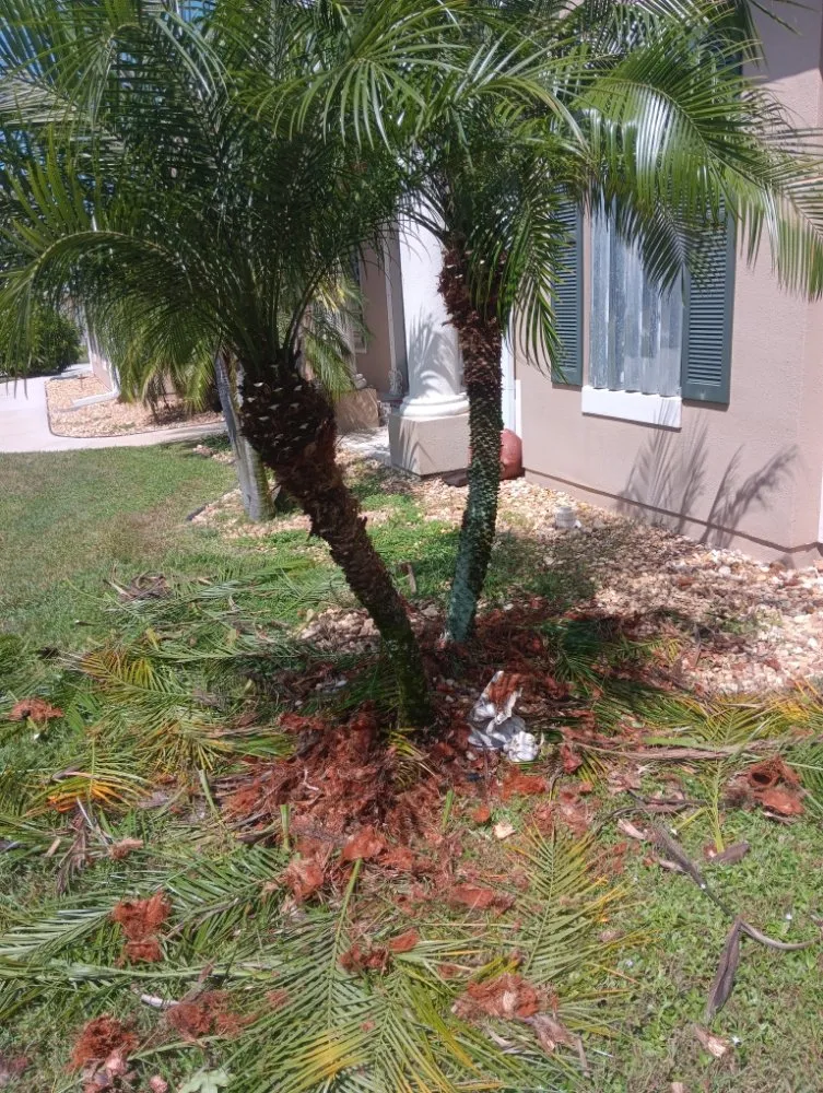 Slide of Modified Solutions