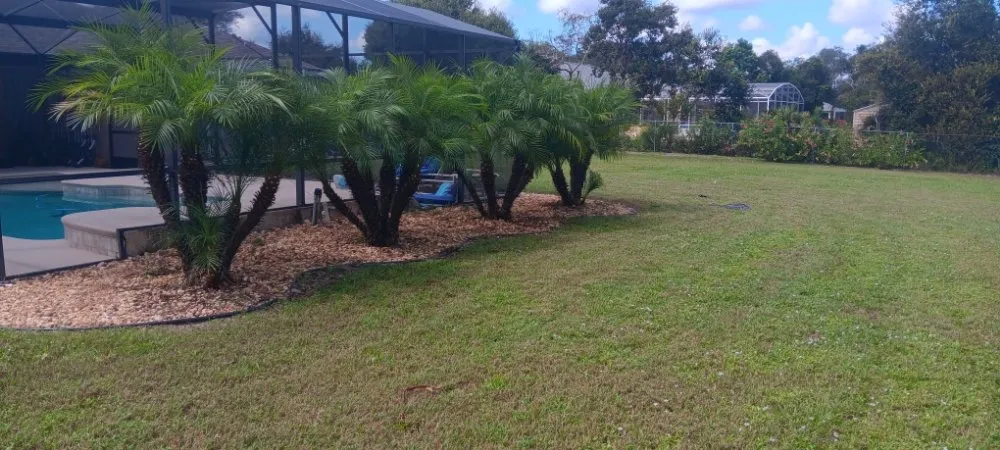 Slide of Modified Solutions