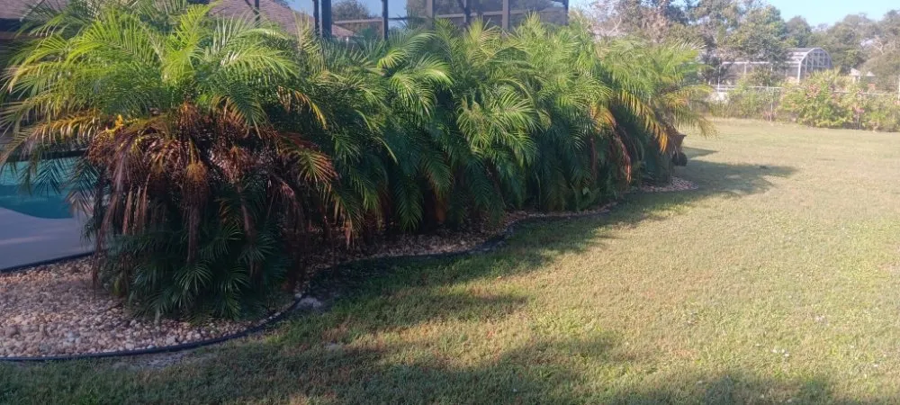 Slide of Modified Solutions