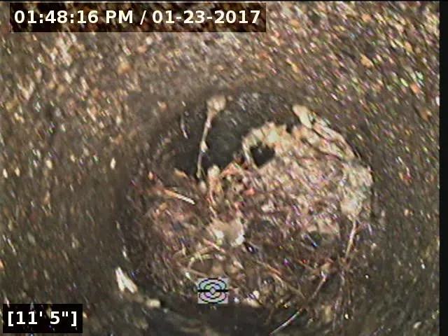 Slide of Molalla Plumbing