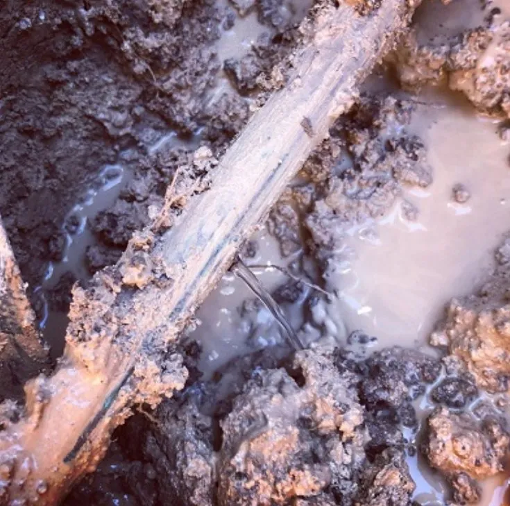Emergency drain cleaning in Fort Worth, TX by Molberg Plumbing
