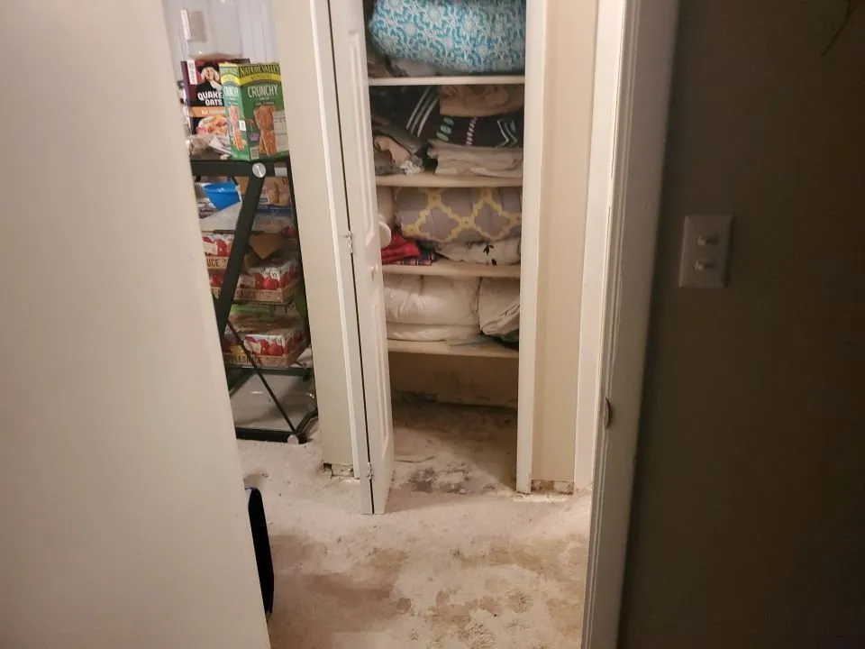 Slide of Mold & Duct Cleaning Experts