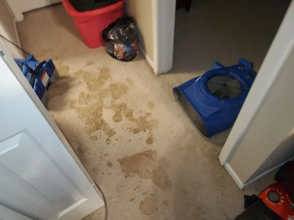 Slide of Mold & Duct Cleaning Experts