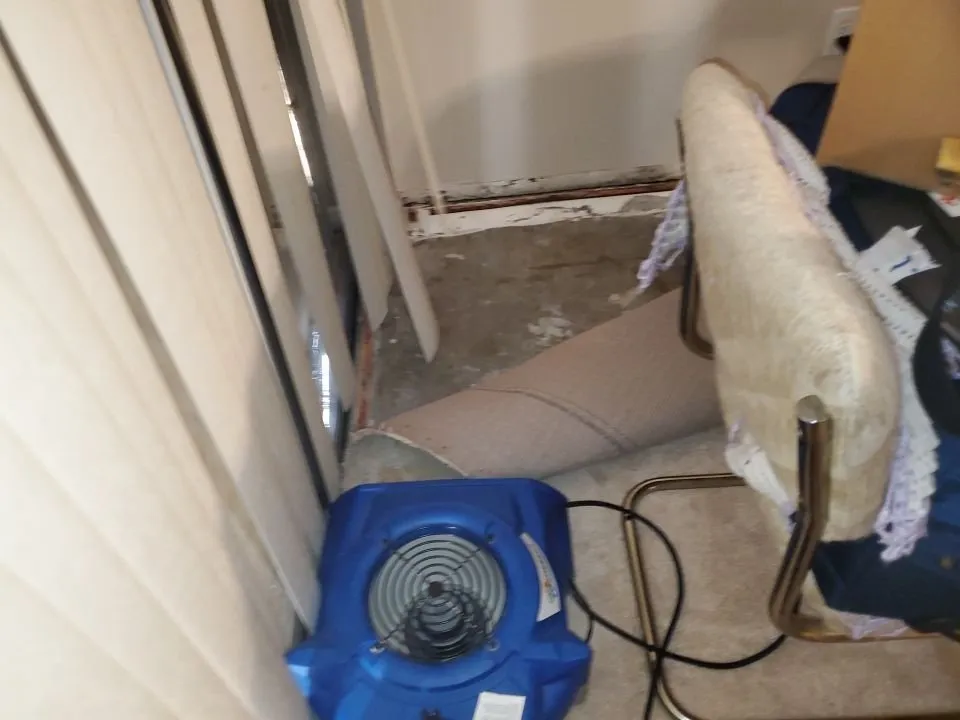 Slide of Mold & Duct Cleaning Experts