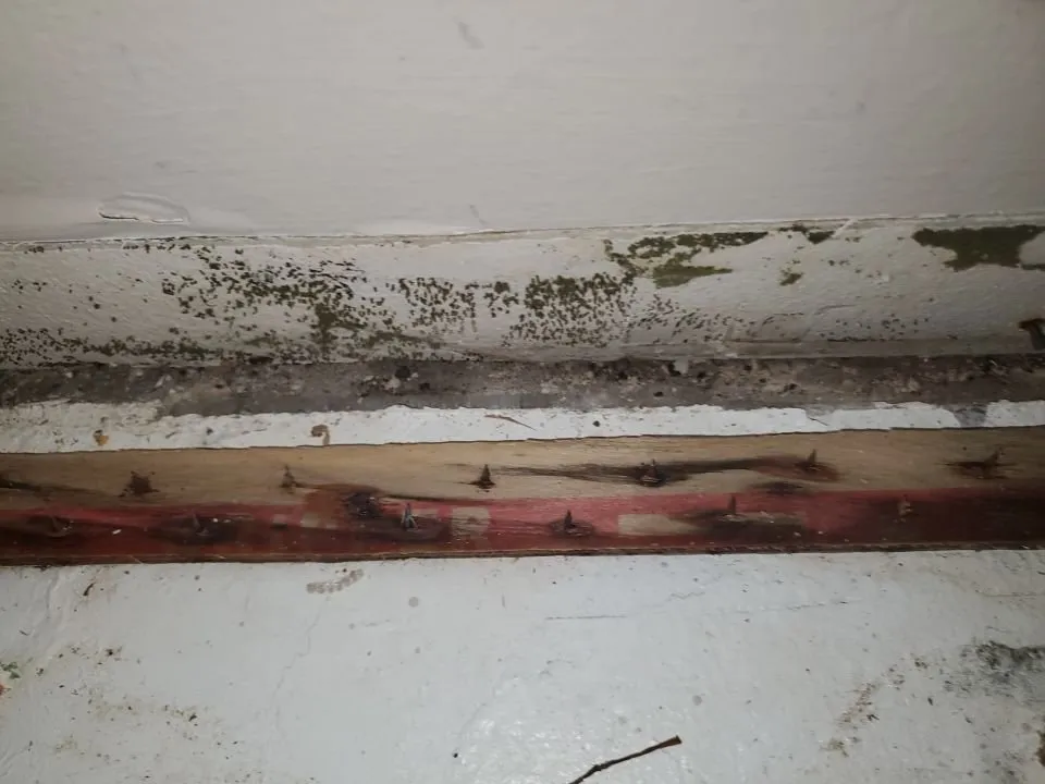 Professional water heater service service in Oakland Park, FL - Mold & Duct Cleaning Experts