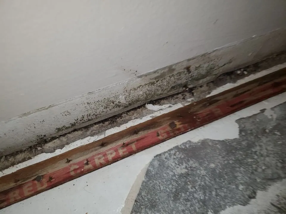 Slide of Mold & Duct Cleaning Experts