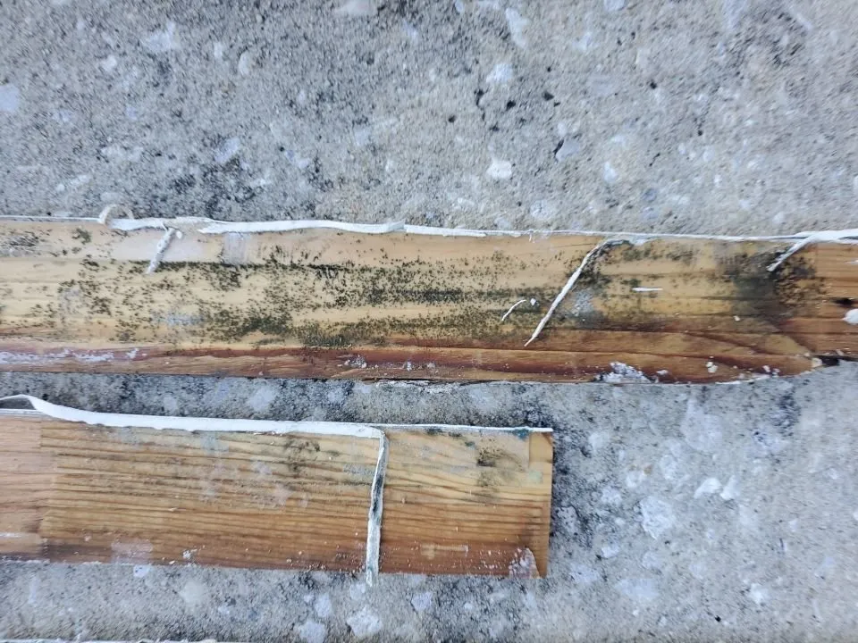 Slide of Mold & Duct Cleaning Experts