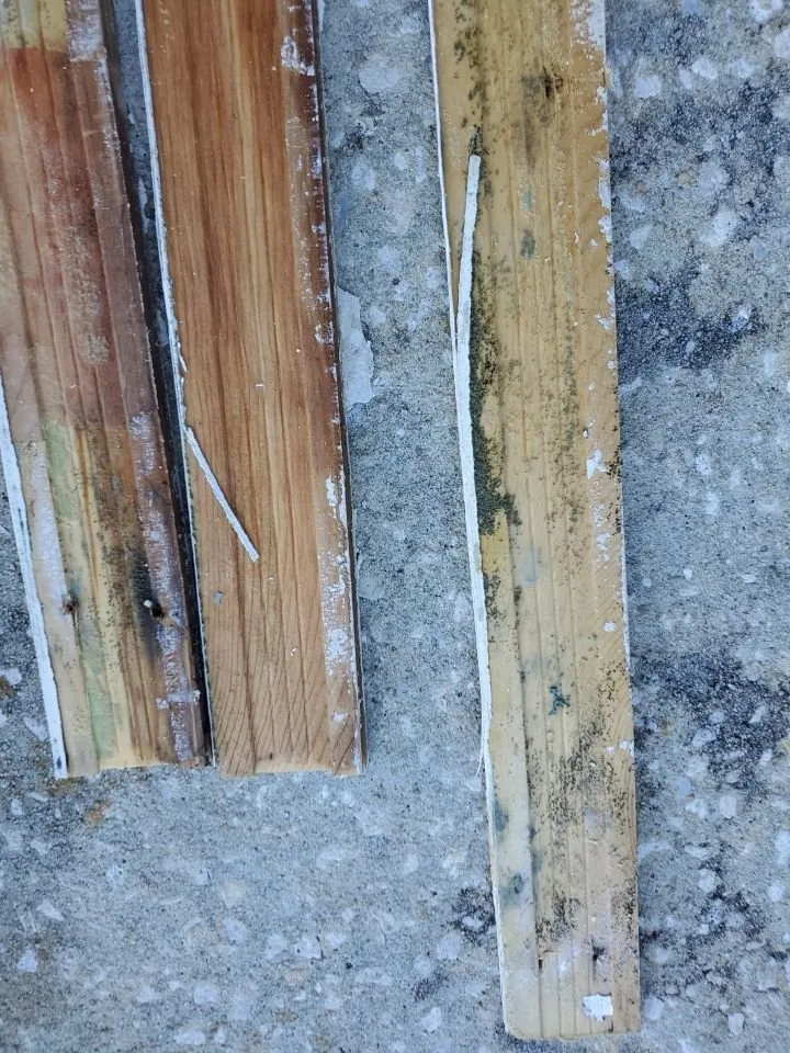 Slide of Mold & Duct Cleaning Experts