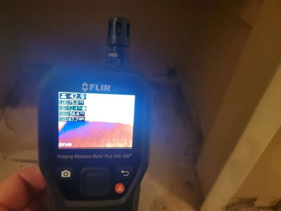 Slide of Mold & Duct Cleaning Experts