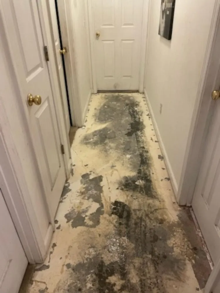 Quality leak detection for homes in Cameron, SC by MomenTim House and Home Repairs