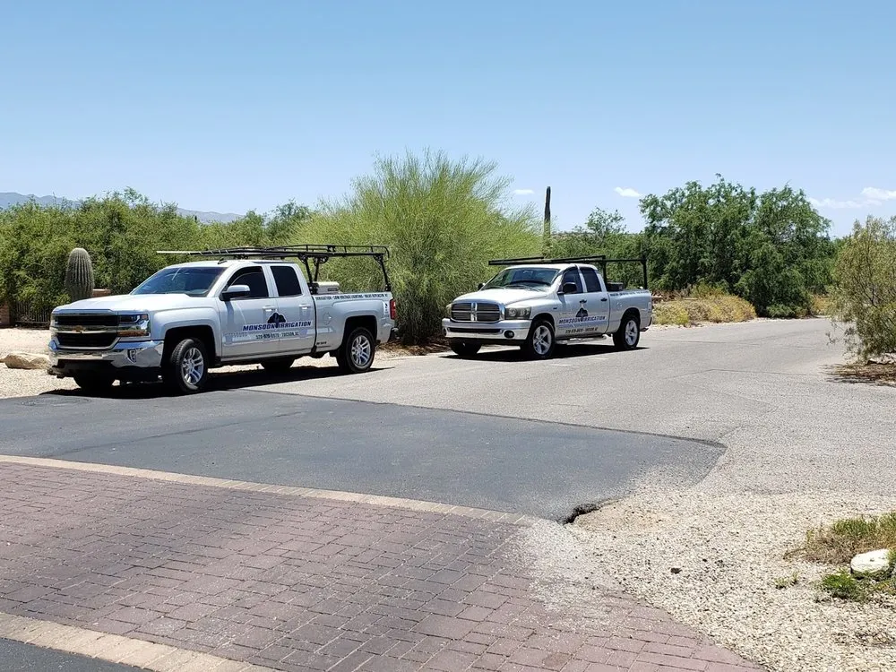 Slide of Monsoon Irrigation