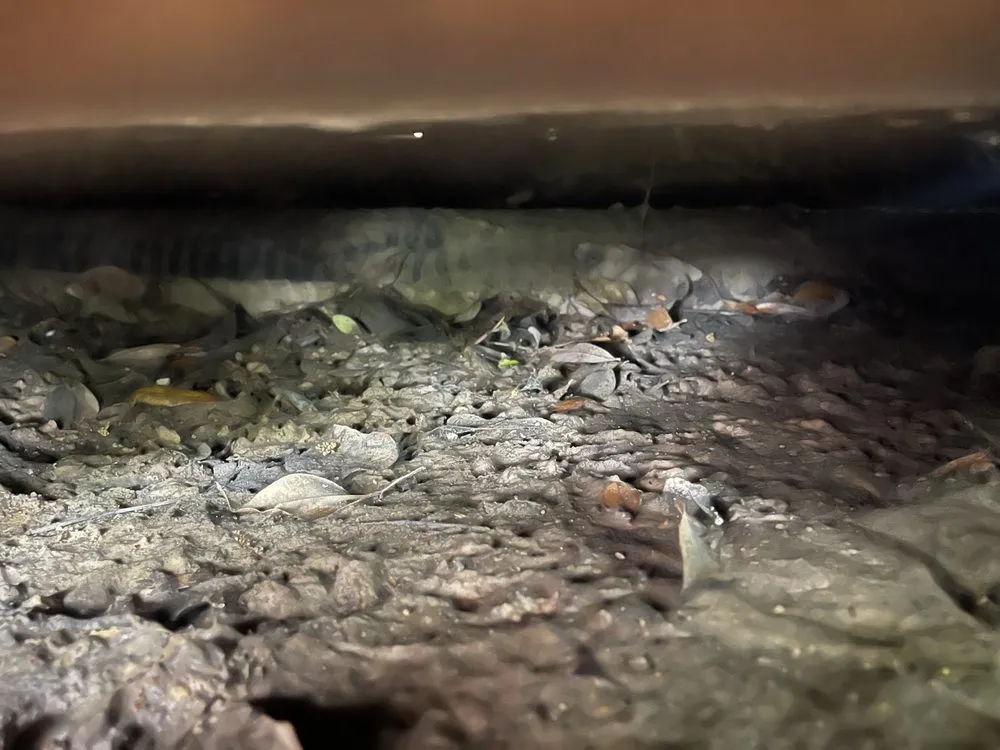 Slide of montys soil pumping services