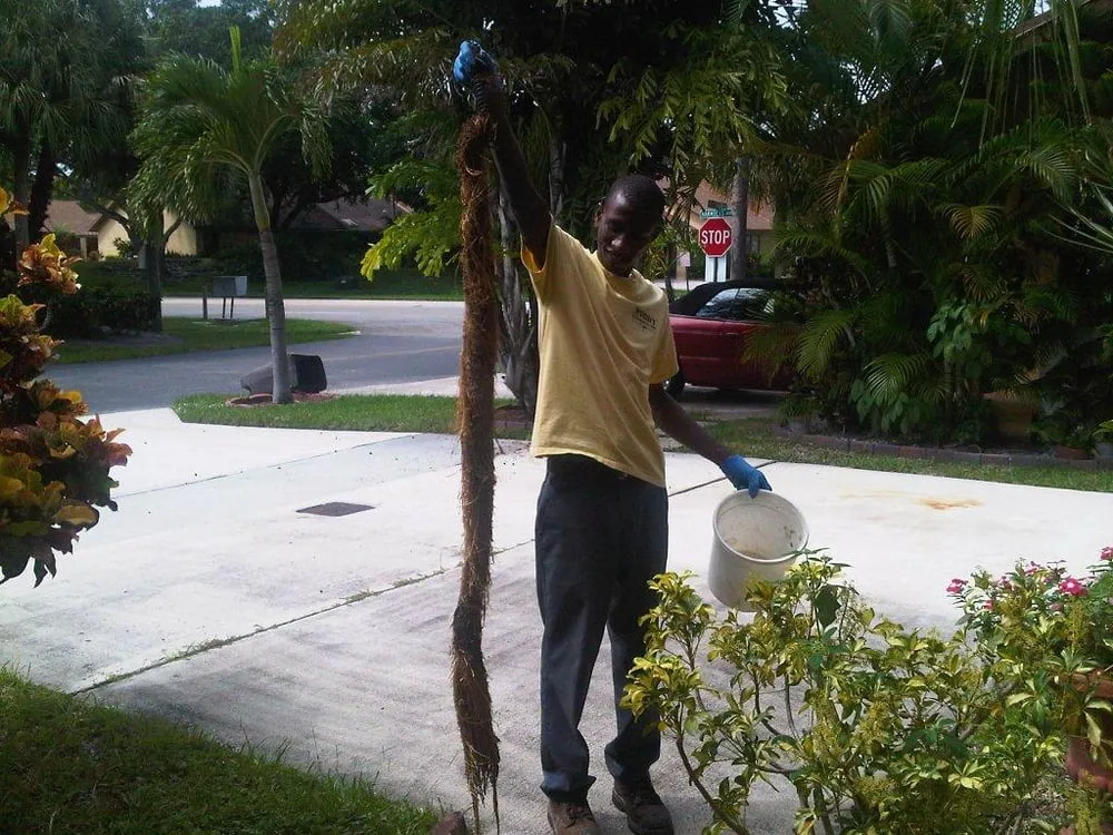 Slide of Moody Plumbing